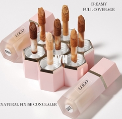 8 ml OEM Deri Bakım Ürünleri Tarafsız Logo Gizleyici 10 Renkli Sıvı Nokta Temel