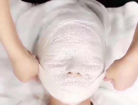 30ml Mumya Yüz Maskesi Sıkılaştırıcı V Yüz Dondurularak Kurutulmuş Kollajen 5d Güzellik Salonu İçin
