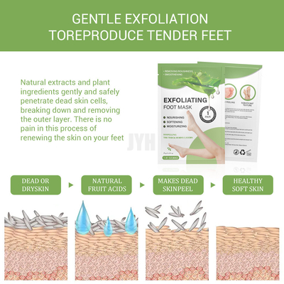 Gençleştirmek İçin Eksfoliye Edici Ve Nemlendirici Aloe Vera Ayak Maskesi